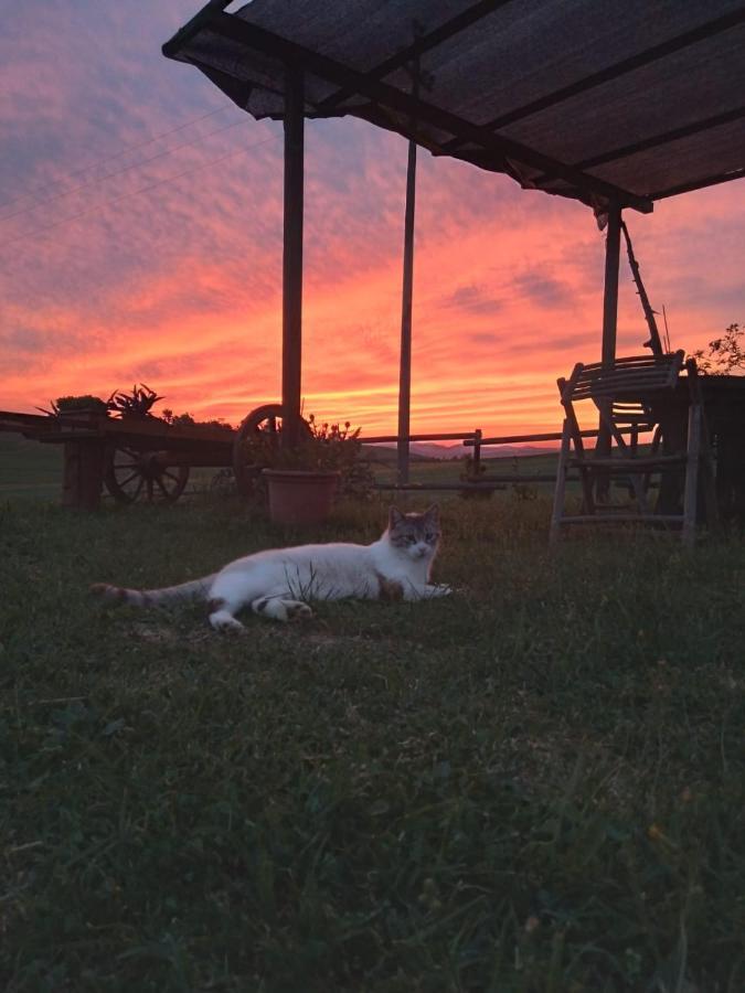 Agriturismo Enjoy Sunset Cinigiano Exterior foto